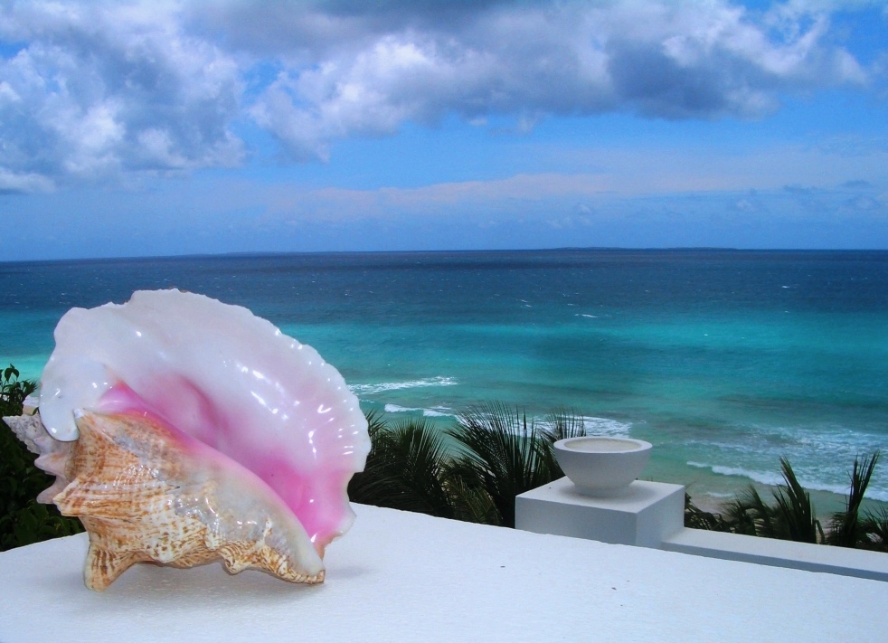 paysage-de-anguilla